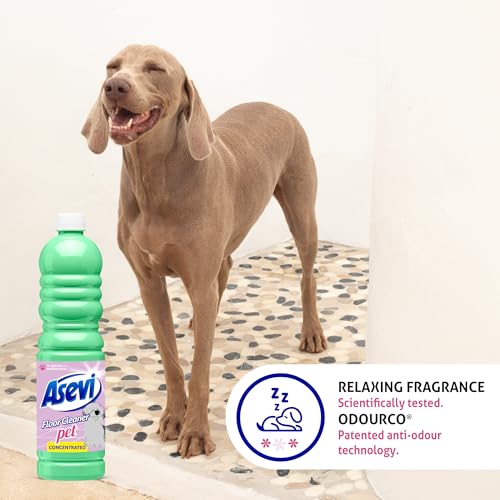 Asevi Pet Floor Cleaner  Cleaning Liquid – Strong Formula for Floors, Tiles, Surfaces and Household Protection – 1L Bottle